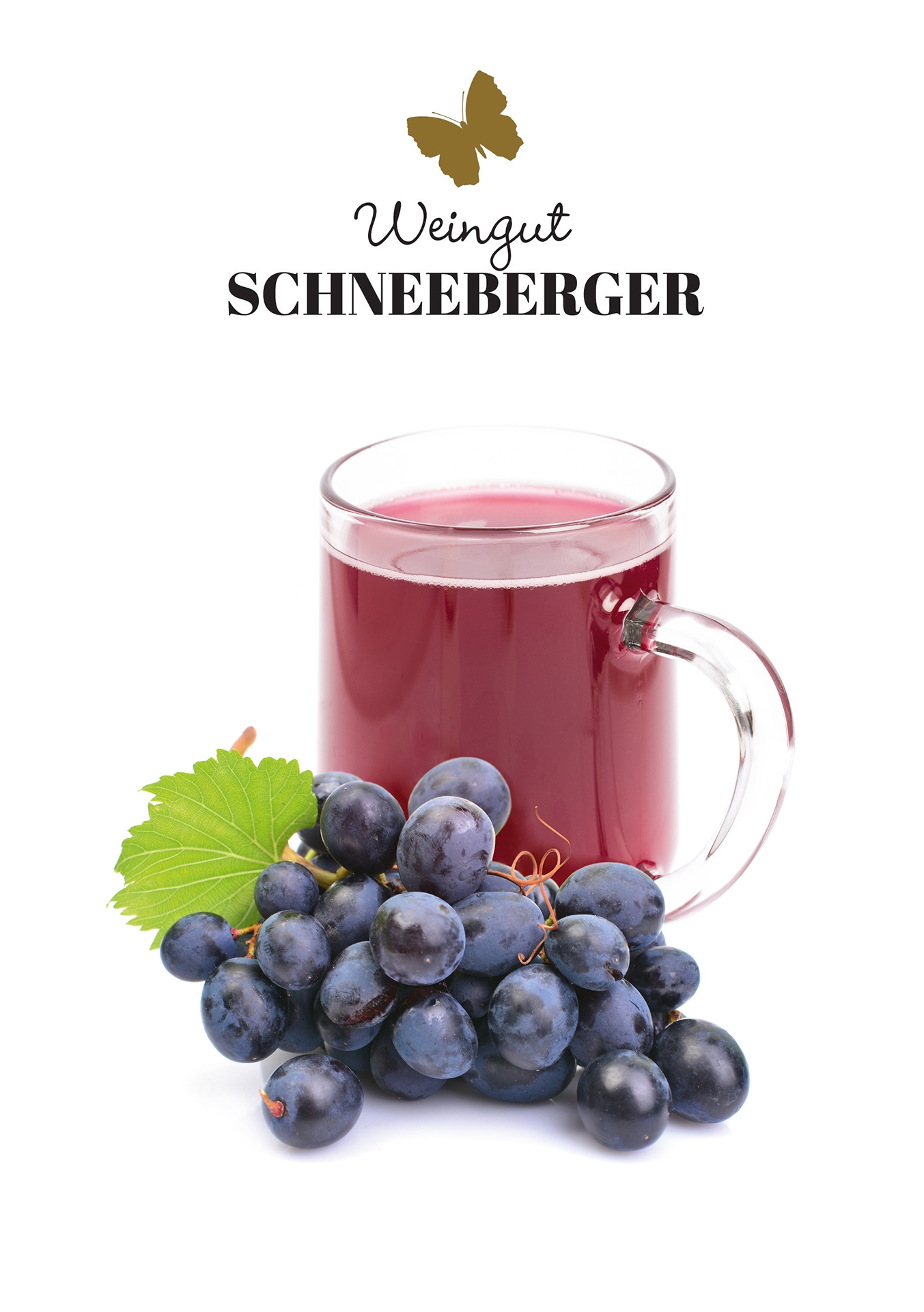 Schilchersturm vom Schneeberger